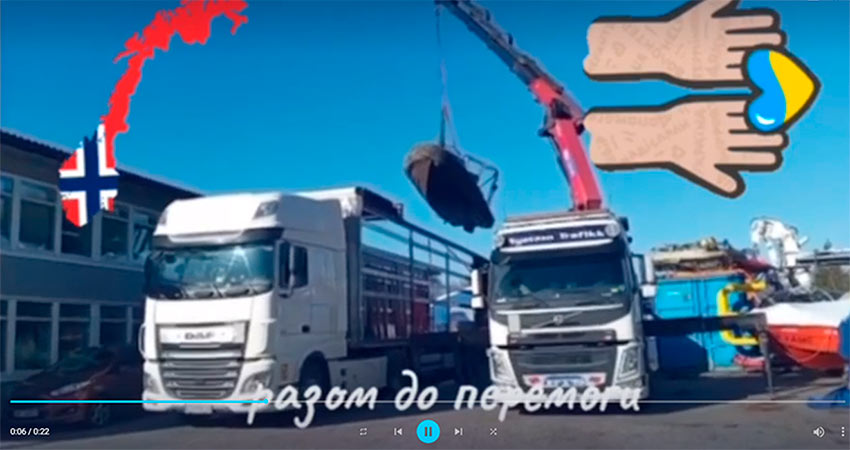 den avtomobilista 11