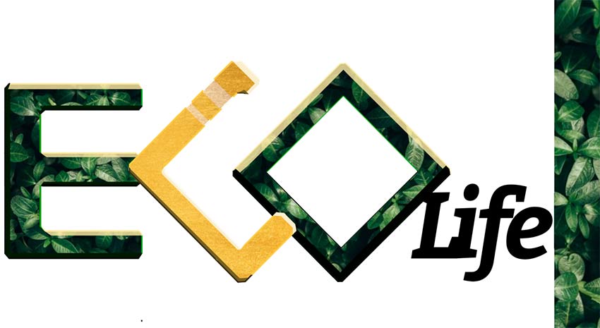 Екологічний клуб «EсoLife». Європейський досвід реалізації стратегії екологічної політики